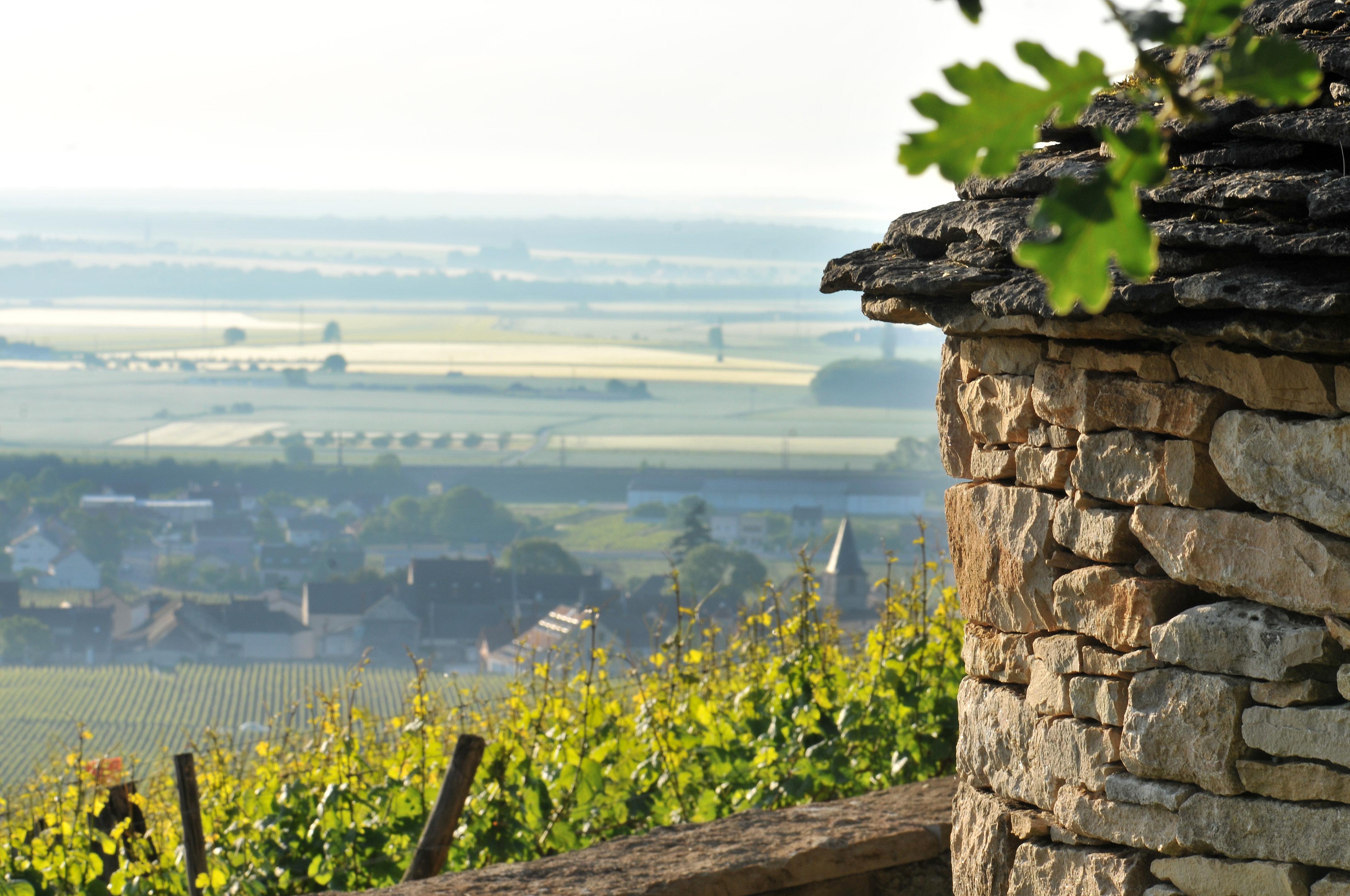 Le Richebourg Hotel, Restaurant & Spa Vosne-Romanée Exterior foto